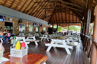 The bos - Marloth Park