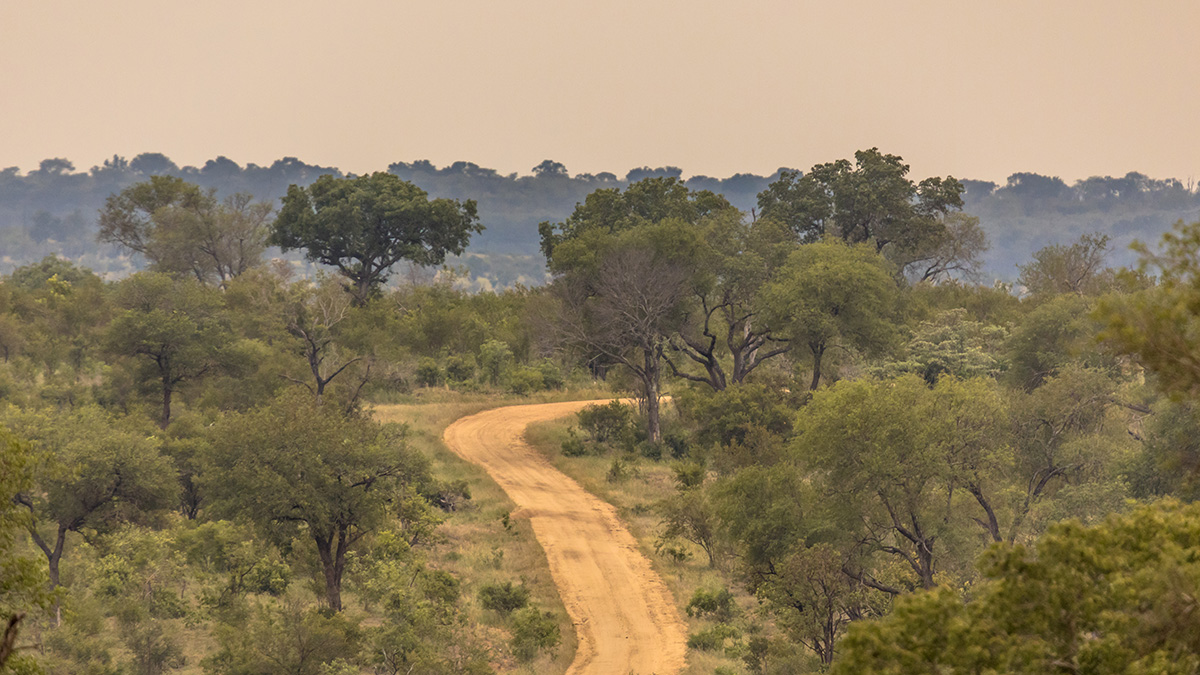 Kruger Park