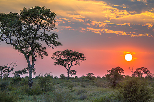 Escape to Marloth Park: The Ultimate Couples Getaway Just 5 Hours from Johannesburg