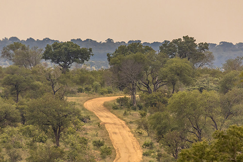 The Ultimate Guide to a Romantic Self-Drive Safari in Kruger National Park